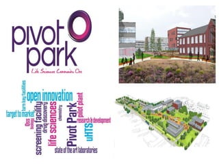 TCI 2016 Dutch clusters on stage