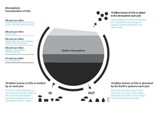  15
The Imbalance
We need to better understand the carbon cycle, to slow
certain processes so specific gases don’t build up in excess
in the air, and find ways to reduce the amount already
released. It is an issue of management.
 