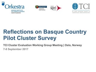 Reflections on Basque Country
Pilot Cluster Survey
TCI Cluster Evaluation Working Group Meeting | Oslo, Norway
7-8 September 2017
 