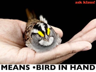 MEANS •BIRD IN HAND 7 
 