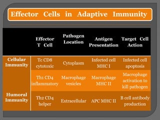 T-Cell Mediated Immunity | PPTX