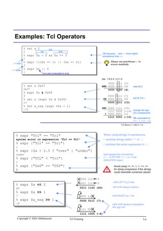Tcl Scripting for EDA.pdf