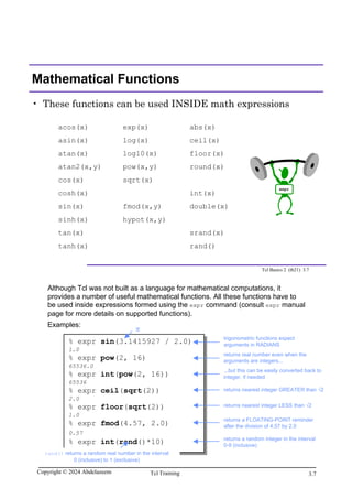 Tcl Scripting for EDA.pdf