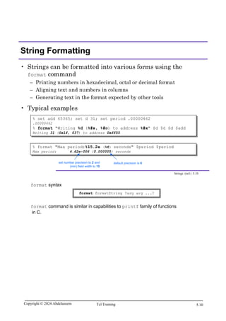 Tcl Scripting for EDA.pdf