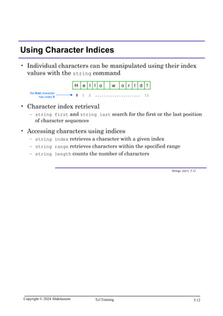 Tcl Scripting for EDA.pdf