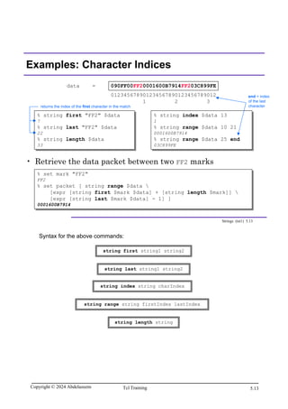 Tcl Scripting for EDA.pdf