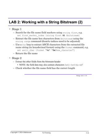 Tcl Scripting for EDA.pdf