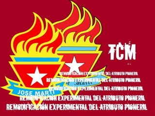 TCM: REMODIFICACIÓN EXPERIMENTAL DEL ATRIBUTO  PIONERIL (2005-2008)