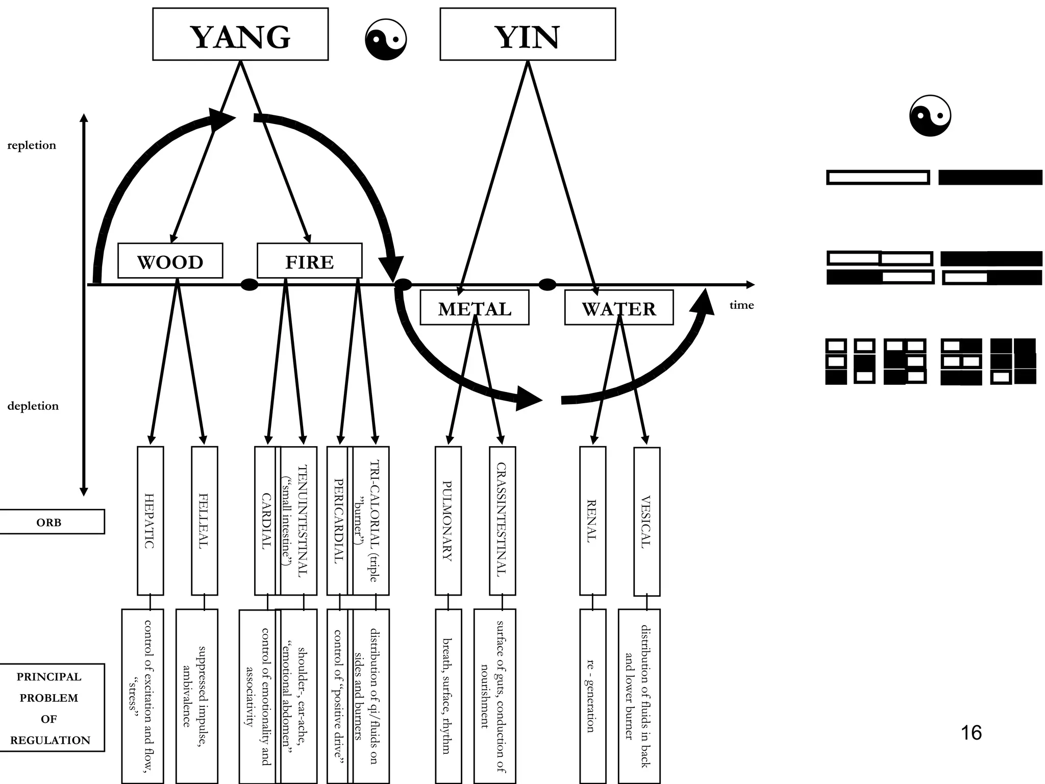 FIRE WOOD repletion YANG YIN   time depletion WATER METAL HEPATIC TENUINTESTINAL (“small intestine”) FELLEAL CARDIAL PERICARDIAL TRI-CALORIAL (triple ”burner”) PULMONARY CRASSINTESTINAL  RENAL VESICAL PRINCIPAL  PROBLEM  OF  REGULATION ORB  distribution of fluids in back and lower burner re - generation breath, surface, rhythm surface of guts, conduction of nourishment control of “positive drive” shoulder-, ear-ache, “emotional abdomen” distribution of qi/fluids on sides and burners control of excitation and flow, “stress” suppressed impulse, ambivalence control of emotionality and associativity 