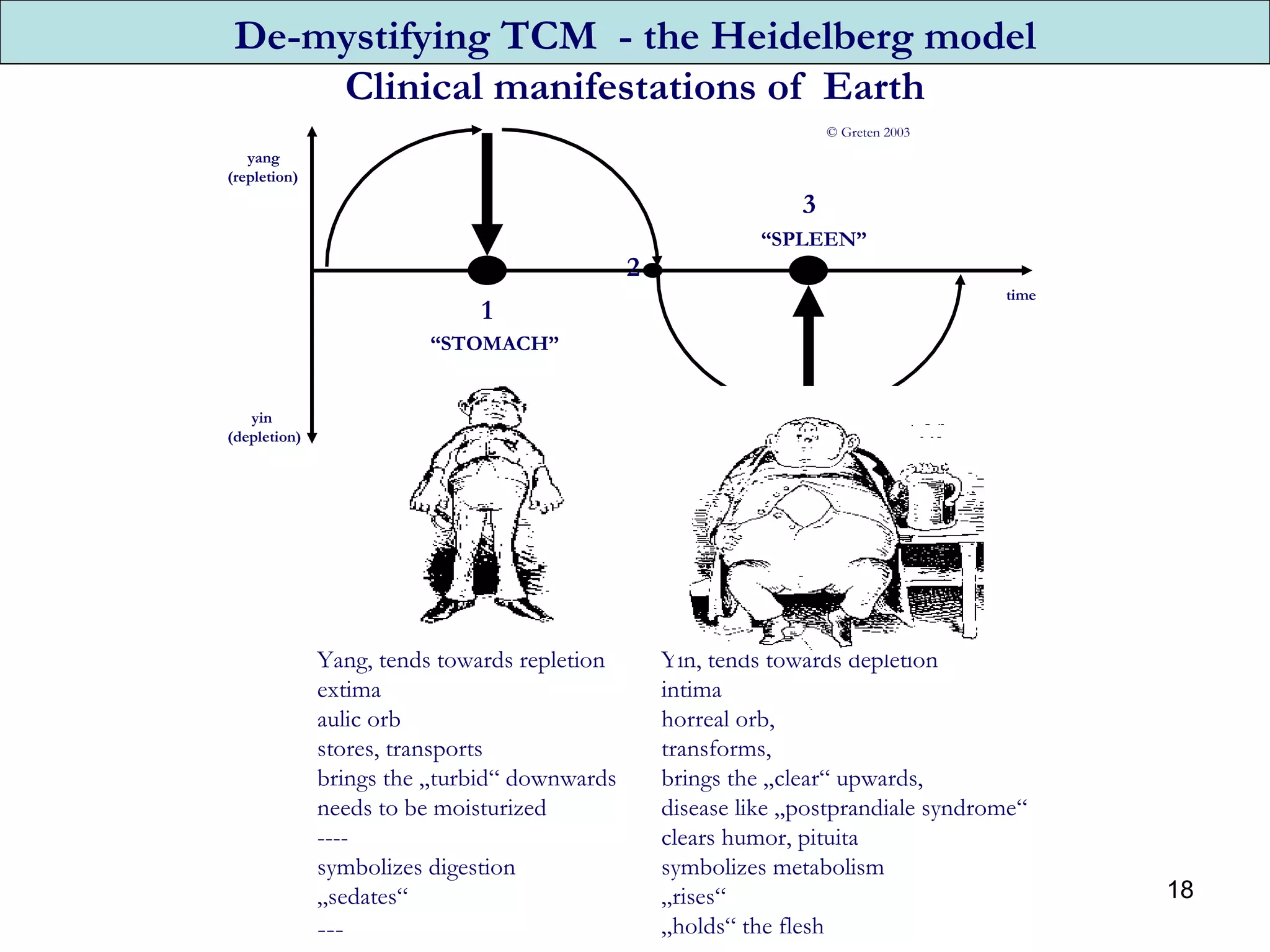 Clinical manifestations of  Earth Yin, tends towards depletion intima horreal orb,  transforms,  brings the „clear“ upwards, disease like „postprandiale syndrome“ clears humor, pituita symbolizes metabolism  „ rises“ „ holds“ the flesh De-mystifying TCM  - the Heidelberg model time yin (depletion) yang (repletion) “ STOMACH” “ SPLEEN” 1 2 3 Yang, tends towards repletion extima aulic orb stores, transports brings the „turbid“ downwards needs to be moisturized ----  symbolizes digestion „ sedates“ --- © Greten 2003 