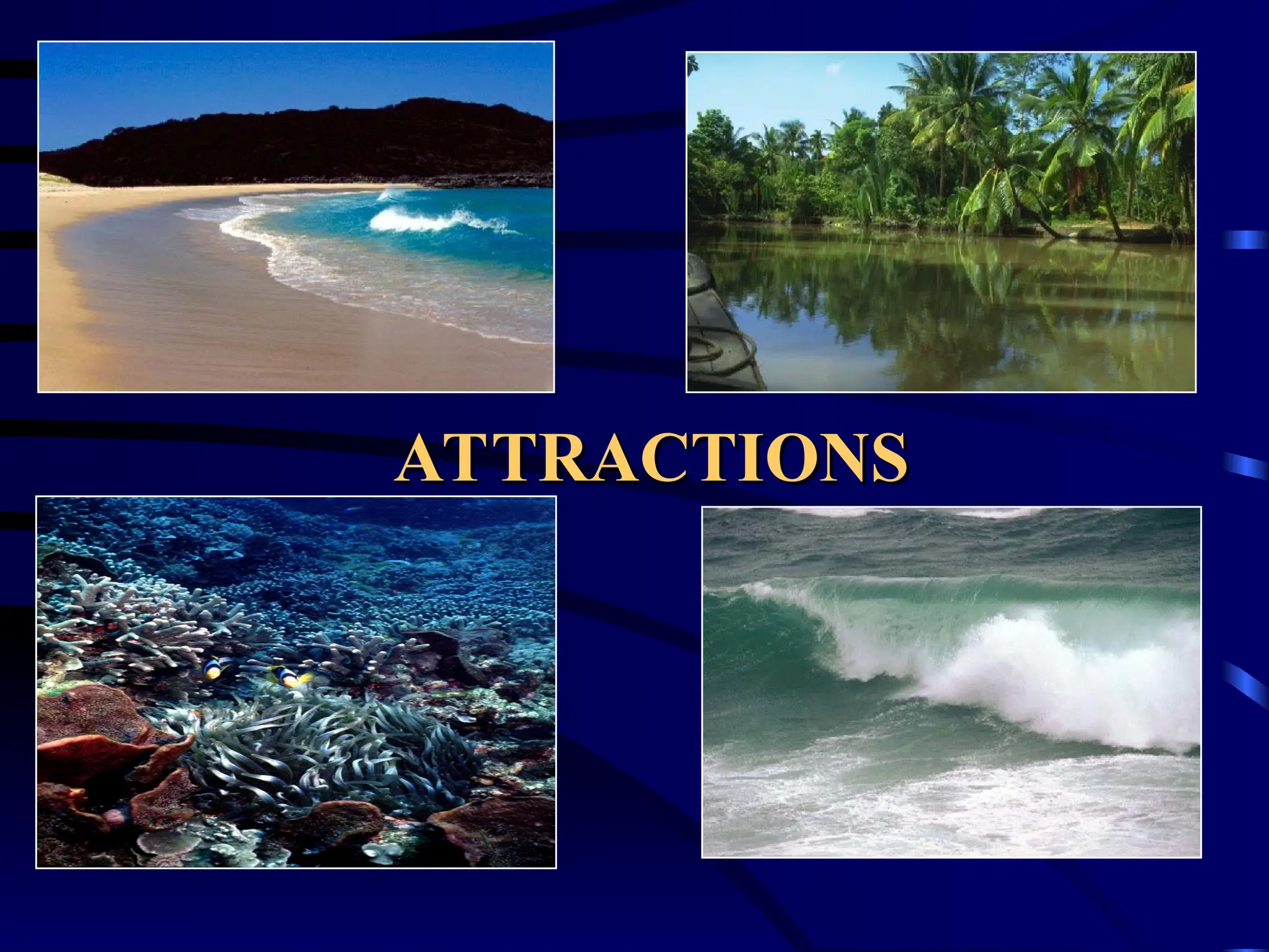 ATTRACTIONS
ATTRACTIONS
 