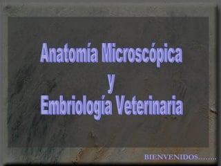 BIENVENIDOS…….. Anatomía Microscópica y Embriología Veterinaria 