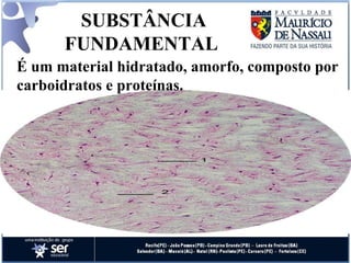 SUBSTÂNCIA FUNDAMENTAL  É um material hidratado, amorfo, composto por carboidratos e proteínas. 