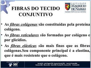 FIBRAS DO TECIDO CONJUNTIVO As  fibras colágenas  são constituídas pela proteína colágeno.  As  fibras reticulares  s ão formadas por colágeno e por glicídios.  As  fibras elásticas  s ão mais finas que as fibras colágenas.Seu componente principal é a elastina, que é mais resistente que o colágeno.  