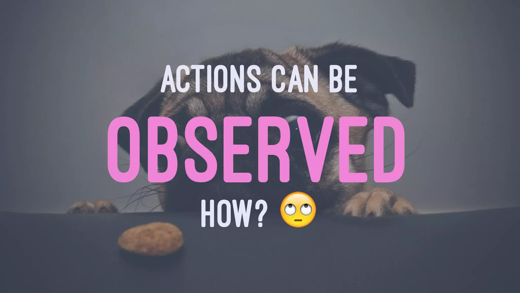 ACTIONS CAN BE
OBSERVEDHOW? !
 