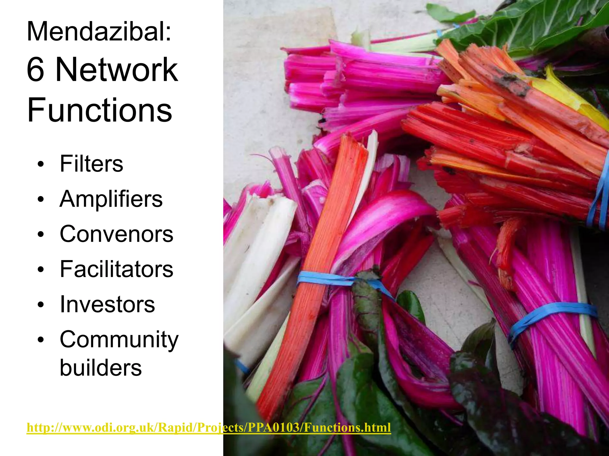Mendazibal:
6 Network
Functions
 •   Filters
 •   Amplifiers
 •   Convenors
 •   Facilitators
 •   Investors
 •   Community
     builders

http://www.odi.org.uk/Rapid/Projects/PPA0103/Functions.html
 