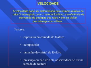 31 
VELOCIDADE 
A velocidade pode ser determinada pelo número relativo de 
raios X interagindo com o material fosfórico e a eficiência de 
conversão da energias dos raios X em luz visível 
que interage com o filme 
Fatores: 
• espessura da camada de fósforo 
• composição 
• tamanho do cristal de fósforo 
• presença ou não de tinta absorvedora de luz na 
camada de fósforo 
 