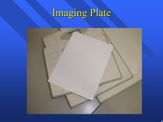 42 
Imaging Plate 
 