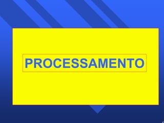 47 
PROCESSAMENTO 
 