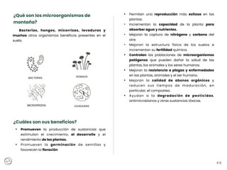 ¿Qué son los microorganismos de
montaña?
Bacterias, hongos, micorrizas, levaduras y
muchos otros organismos benéficos presentes en el
suelo.
BACTERIAS HONGOS
MICRORRIZAS LEVADURAS
P.5
• Promueven la producción de sustancias que
estimulan el crecimiento, el desarrollo y el
rendimiento de las plantas.
• Promueven la germinación de semillas y
favorecen la floración
• Permiten una reproducción más exitosa en las
plantas.
• Incrementan la capacidad de la planta para
absorber agua y nutrientes.
• Mejoran la captura de nitrógeno y carbono del
aire.
• Mejoran la estructura física de los suelos e
incrementan su fertilidad química.
• Controlan las poblaciones de microorganismos
patógenos que pueden dañar la salud de las
plantas, los animales y los seres humanos.
• Mejoran la resistencia a plagas y enfermedades
en las plantas, animales y el ser humano.
• Mejoran la calidad de abonos orgánicos y
reducen sus tiempos de maduración, en
particular, el composteo.
• Ayudan a la degradación de pesticidas,
antimicrobianos y otras sustancias tóxicas.
¿Cuáles son sus beneficios?
 