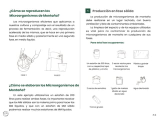 Los microorganismos eficientes que aplicamos a
nuestros cultivos y compostaje son el resultado de un
proceso de fermentación; es decir, una reproducción
acelerada de los mismos, que se hace en una primera
fase en medio sólido y posteriormente en una segunda
fase, en medio líquido.
FASE 1
1 Producción en fase sólida
La producción de microorganismos de montaña
debe realizarse en un lugar techado, con buena
ventilación y libre de contaminantes ambientales.
La limpieza del espacio y de los equipos utilizados
es vital para no contaminar la producción de
microorganismos de montaña en cualquiera de sus
fases.
Para esta fase ocuparemos:
FASE 2
P.6
Ilustración
semejando la imagen
en el video:
3:43
Ilustración
semejando la imagen
en el video:
3:46
¿Cómo se reproducen los
Microorganismos de Montaña?
¿Cómo se elaboran los Microorganismos de
Montaña?
En este ejemplo utilizaremos un estañón de 200
litros para realizar ambas fases. Es importante recalcar
que los MM sólidos son la materia prima para hacer los
MM líquidos, y que con un estañón de MM sólido
podremos realizar muchos estañones de MM líquidos.
Un estañón de 200 litros,
con su respectiva tapa
de plástico y cincha
3 sacos vacíos para
recolectar los
microorganismos
Plástico grande
limpio
2 sacos de semolina 1 galón de melaza
diluido en agua
declorada
Agua declorada
Tronco grueso
 