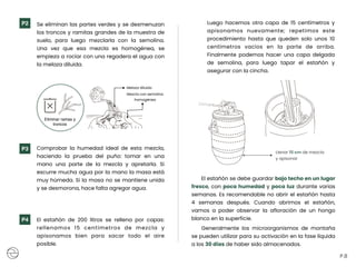 Comprobar la humedad ideal de esta mezcla,
haciendo la prueba del puño: tomar en una
mano una parte de la mezcla y apretarla. Si
escurre mucha agua por la mano la masa está
muy húmeda. Si la masa no se mantiene unida
y se desmorona, hace falta agregar agua. 
 
P.8
P3
P4
Llenar 15 cm de mezcla
y apisonar
El estañón se debe guardar bajo techo en un lugar
fresco, con poca humedad y poca luz durante varias
semanas. Es recomendable no abrir el estañón hasta
4 semanas después. Cuando abrimos el estañón,
vamos a poder observar la afloración de un hongo
blanco en la superficie.
Generalmente los microorganismos de montaña
se pueden utilizar para su activación en la fase líquida
a los 30 días de haber sido almacenados.
Se eliminan las partes verdes y se desmenuzan
los troncos y ramitas grandes de la muestra de
suelo, para luego mezclarla con la semolina.
Una vez que esa mezcla es homogénea, se
empieza a rociar con una regadera el agua con
la melaza diluida.
P2
Eliminar ramas y
troncos
Melaza diluida
Mezcla con semolina
homogénea
Luego hacemos otra capa de 15 centímetros y
apisonamos nuevamente; repetimos este
procedimiento hasta que queden solo unos 10
centímetros vacíos en la parte de arriba.
Finalmente podemos hacer una capa delgada
de semolina, para luego tapar el estañón y
asegurar con la cincha.
El estañón de 200 litros se rellena por capas:
rellenamos 15 centímetros de mezcla y
apisonamos bien para sacar todo el aire
posible.  
 