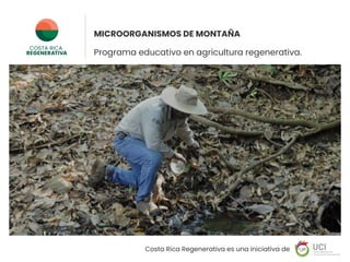 MICROORGANISMOS DE MONTAÑA 
Programa educativo en agricultura regenerativa.
Costa Rica Regenerativa es una iniciativa de
 