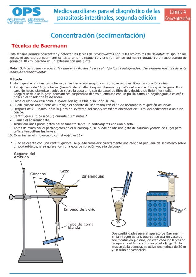 Técnica de baermann | PDF