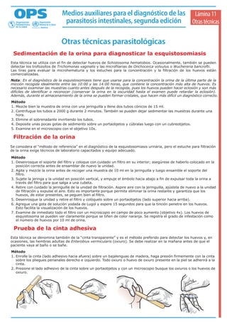 Técnica de baermann | PDF