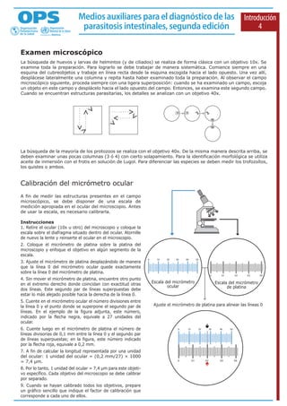 Técnica de baermann | PDF