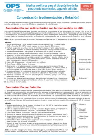 Técnica de baermann | PDF