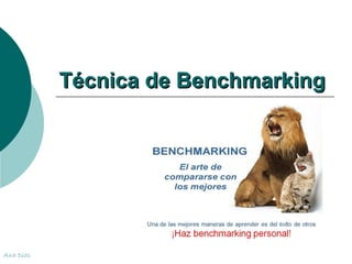 TTééccnniiccaa ddee BBeenncchhmmaarrkkiinngg 
Ana Dias 
 