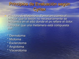 Principios ddee EEvvaalluuaacciióónn sseeggúúnn 
CCyyrriiaaxx 
• PPrriinncciippiioo ddee MMeettáámmeerraa:: TToommaarr eenn ccuueennttaa aall 
eevvaalluuaarr qquuee llaa lleessiióónn nnoo nneecceessaarriiaammeennttee ssee 
eennccuueennttrraa eenn eell ssiittiioo ddoonnddee eell ppxx rreeffiieerree eell ddoolloorr.. 
RReeccoorrddaarr qquuee uunnaa mmeettáámmeerraa eessttáá ccoommppuueessttaa 
ppoorr:: 
** DDeerrmmaattoommaa 
** MMiioottoommaa 
** EEsscclleerroottoommaa 
** AAnnggiioottoommaa 
** VVíísscceerroottoommaa 
 