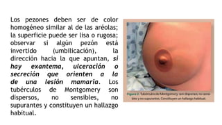 Técnica de exploración ginecología (1).pptx