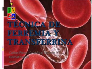 TÉCNICA DE FERREMIA Y TRANSFERRINA Carlos Pozo - Cristóbal Leyton Hematología 2010 