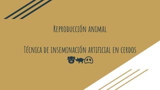 Reproducción animal
Técnica de inseminación artificial en cerdos
🐷🐖🐽
 