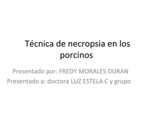 Técnica de necropsia en los
               porcinos
  Presentado por: FREDY MORALES DURAN
Presentado a: doctora LUZ ESTELA C y grupo
 