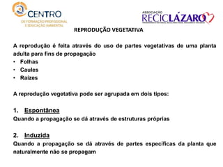 REPRODUÇÃO VEGETATIVA
A reprodução é feita através do uso de partes vegetativas de uma planta
adulta para fins de propagação
• Folhas
• Caules
• Raízes
A reprodução vegetativa pode ser agrupada em dois tipos:
1. Espontânea
Quando a propagação se dá através de estruturas próprias
2. Induzida
Quando a propagação se dá através de partes específicas da planta que
naturalmente não se propagam
 
