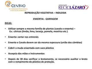 REPRODUÇÃO VEGETATIVA – INDUZIDA
ENXERTIA - GARFAGEM
DICAS:
• Utilizar sempre a mesma família de plantas (cavalo e enxerto) –
Ex.: cítricos (limão, lima, laranja, pomelo, mexirica etc.)
• Enxerto: cortar nos entrenós
• Enxerto e Cavalo devem ser da mesma espessura (união dos câmbios)
• Cobrir a muda enxertada com saco plástico
• Assepsia das mãos e instrumentos
• Depois de 30 dias verificar o brotamento, se necessário auxiliar o broto
com o rompimento do plástico de proteção.
 
