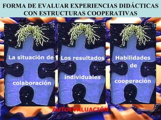 FORMA DE EVALUAR EXPERIENCIAS DIDÁCTICAS CON ESTRUCTURAS COOPERATIVAS Habilidades de  cooperación La situación de  colabor...