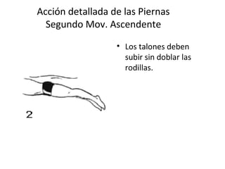 Acción detallada de las Piernas Segundo Mov. Ascendente Los talones deben subir sin doblar las rodillas. 