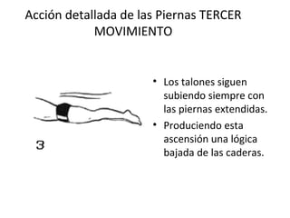 Acción detallada de las Piernas TERCER MOVIMIENTO Los talones siguen subiendo siempre con las piernas extendidas. Produciendo esta ascensión una lógica bajada de las caderas. 