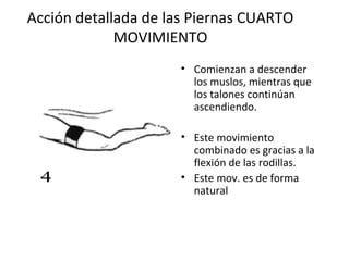 Acción detallada de las Piernas CUARTO MOVIMIENTO Comienzan a descender los muslos, mientras que los talones continúan ascendiendo. Este movimiento combinado es gracias a la flexión de las rodillas. Este mov. es de forma natural 