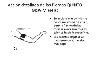 Acción detallada de las Piernas QUINTO MOVIMIENTO Se acelera el movimiento de los muslos hacia abajo, pero la flexión de las rodillas eleva aún más los talones hacia la superficie. Las caderas llegan a su momento de sumersión más bajo. 