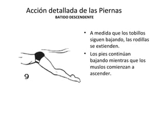 Acción detallada de las Piernas   BATIDO DESCENDENTE A medida que los tobillos siguen bajando, las rodillas se extienden. Los pies continúan bajando mientras que los muslos comienzan a ascender. 