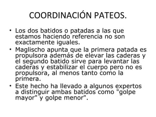 COORDINACIÓN PATEOS. Los dos batidos o patadas a las que estamos haciendo referencia no son exactamente iguales.   Maglischo apunta que la primera patada es propulsora además de elevar las caderas y el segundo batido sirve para levantar las caderas y estabilizar el cuerpo pero no es propulsora, al menos tanto como la primera.  Este hecho ha llevado a algunos expertos a distinguir ambas batidos como "golpe mayor" y golpe menor". 