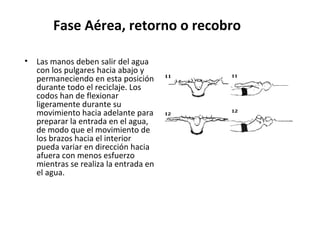Fase Aérea, retorno o recobro Las manos deben salir del agua con los pulgares hacia abajo y permaneciendo en esta posición durante todo el reciclaje. Los codos han de flexionar ligeramente durante su movimiento hacia adelante para preparar la entrada en el agua, de modo que el movimiento de los brazos hacia el interior pueda variar en dirección hacia afuera con menos esfuerzo mientras se realiza la entrada en el agua. 
