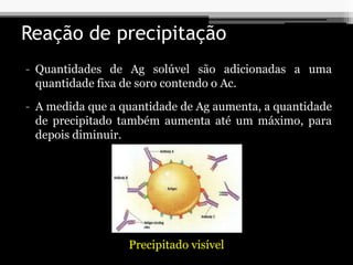 - Quantidades de Ag solúvel são adicionadas a uma
quantidade fixa de soro contendo o Ac.
Precipitado visível
Reação de precipitação
- A medida que a quantidade de Ag aumenta, a quantidade
de precipitado também aumenta até um máximo, para
depois diminuir.
 