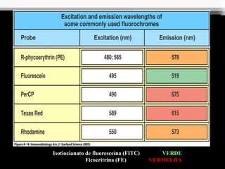 Isotiocianato de fluoresceína (FITC) VERDE
Ficoeritrina (FE) VERMELHA
 