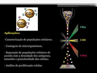 Aplicações:
-Caracterização de populações celulares;
- Contagem de microrganismos;
- Separação de populações celulares de
acordo com a densidade dos antígenos,
tamanho e granulosidade das células;
- Análise de proliferação celular.
CD4
CD8
CD19
 